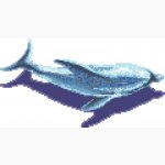 Дельфин 1 с тенью (20х20) Creativa Mosaic 